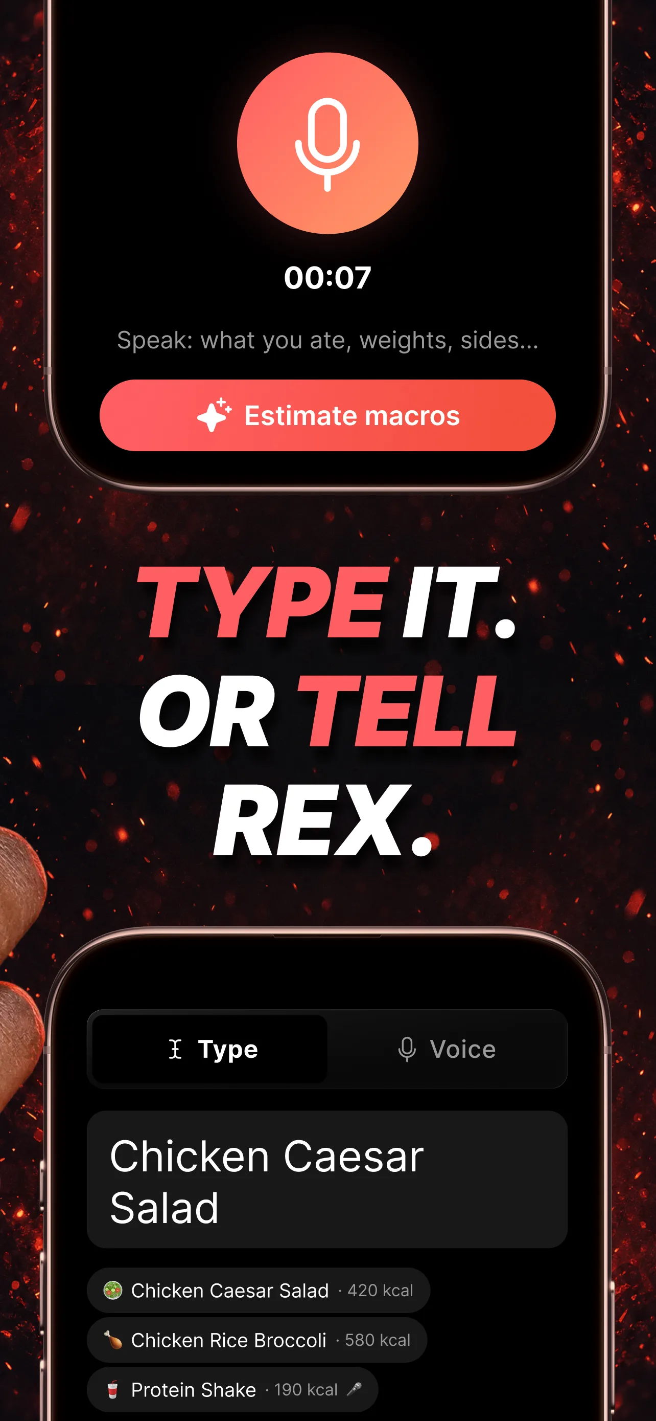 Voice and type modes for logging a meal